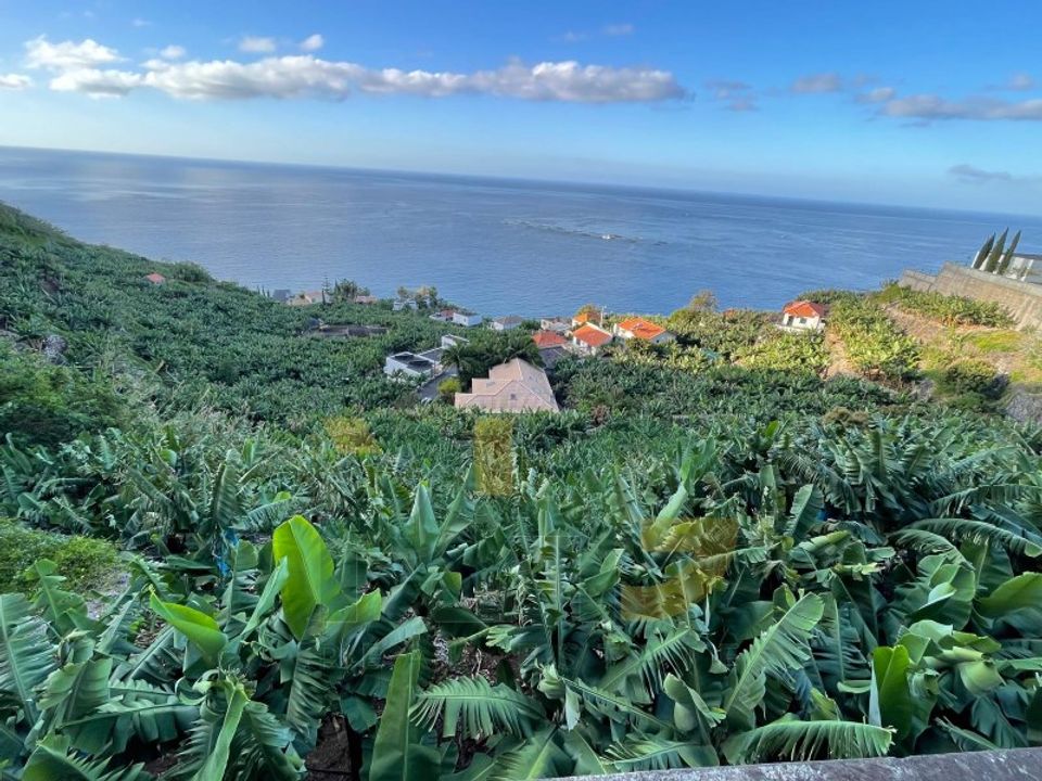 Helårsgrund i Arco da Calheta, Madeira - foto 4