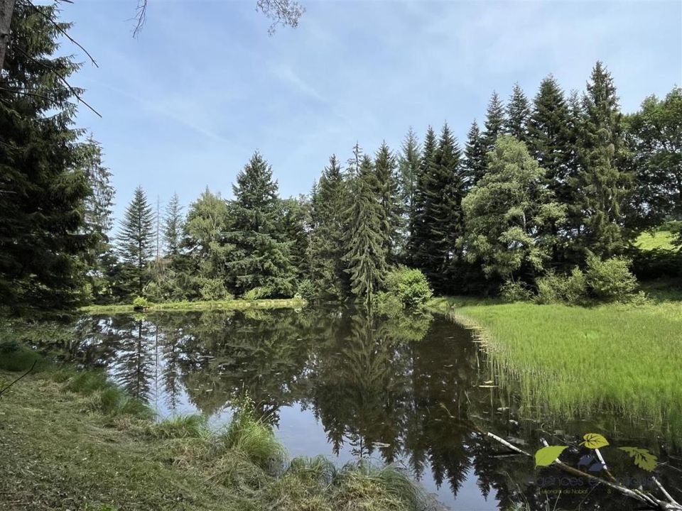 Helårsgrund i Moissannes, Haute-Vienne - foto 1
