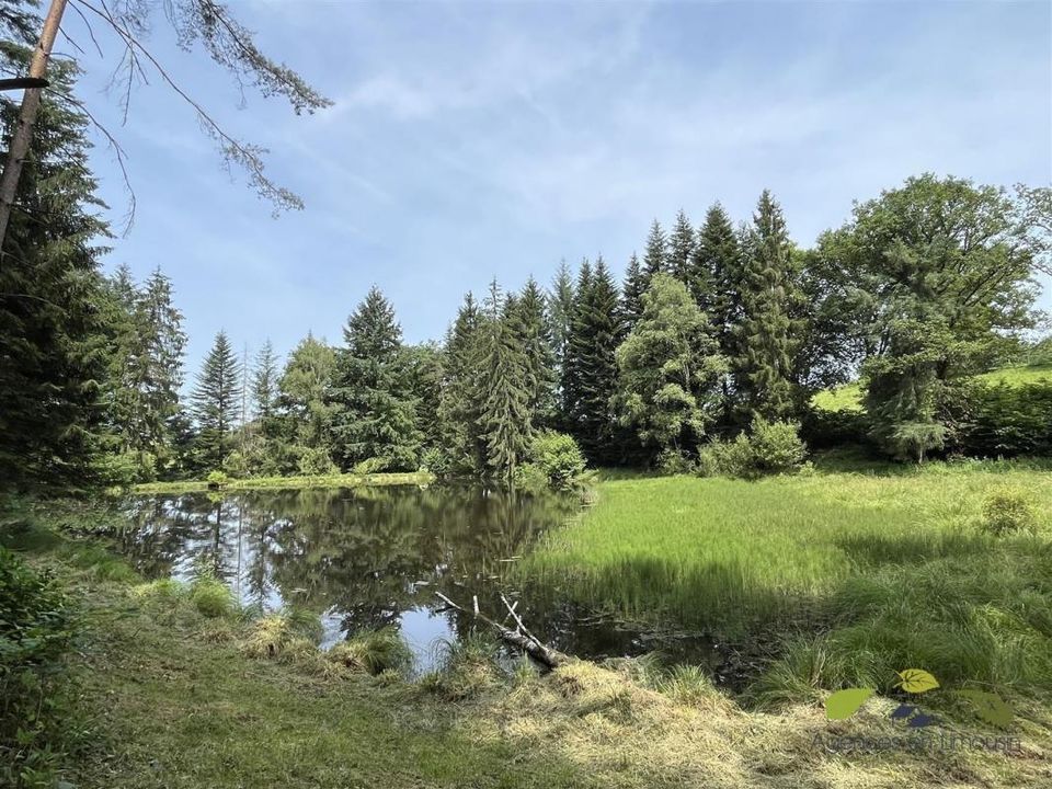 Helårsgrund i Moissannes, Haute-Vienne - foto 2