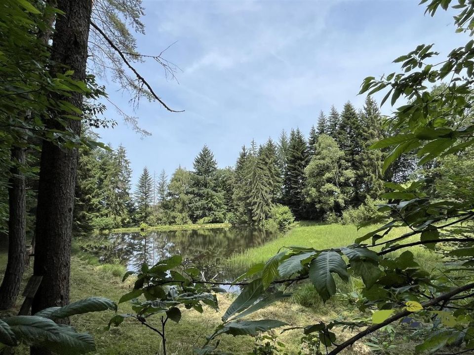 Helårsgrund i Moissannes, Haute-Vienne - foto 3
