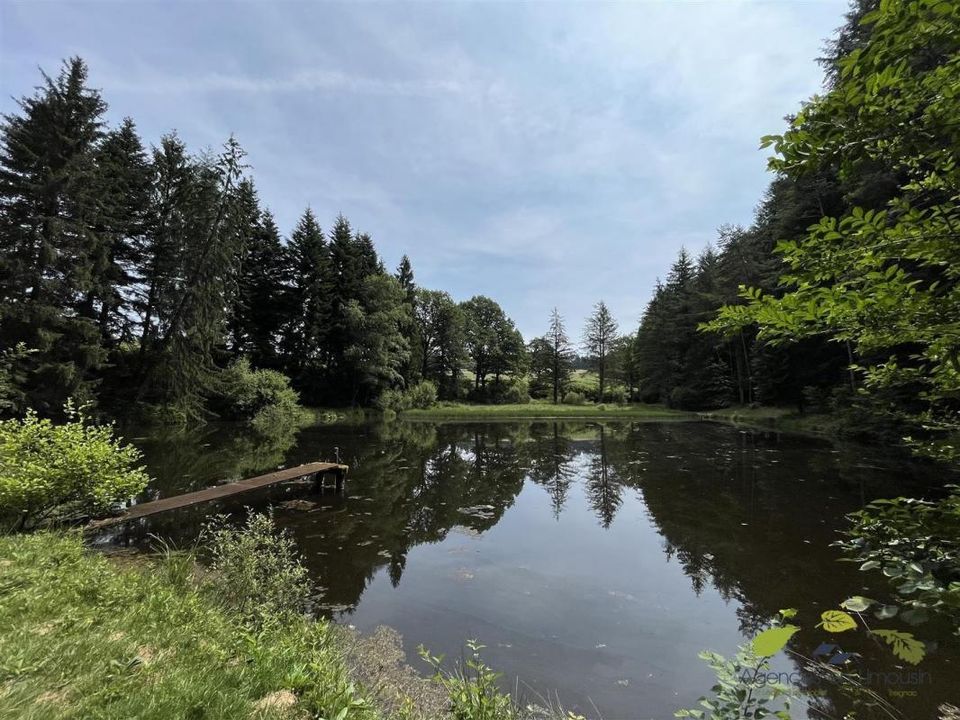 Helårsgrund i Moissannes, Haute-Vienne - foto 4