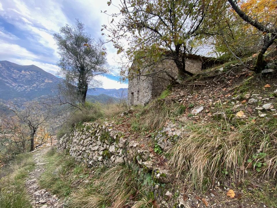 Villa i Malaussène, Alpes-Maritimes - foto 2