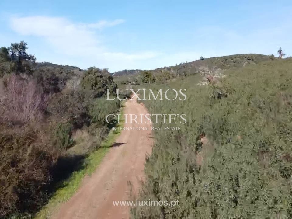 Helårsgrund i Silves, Faro - foto 3