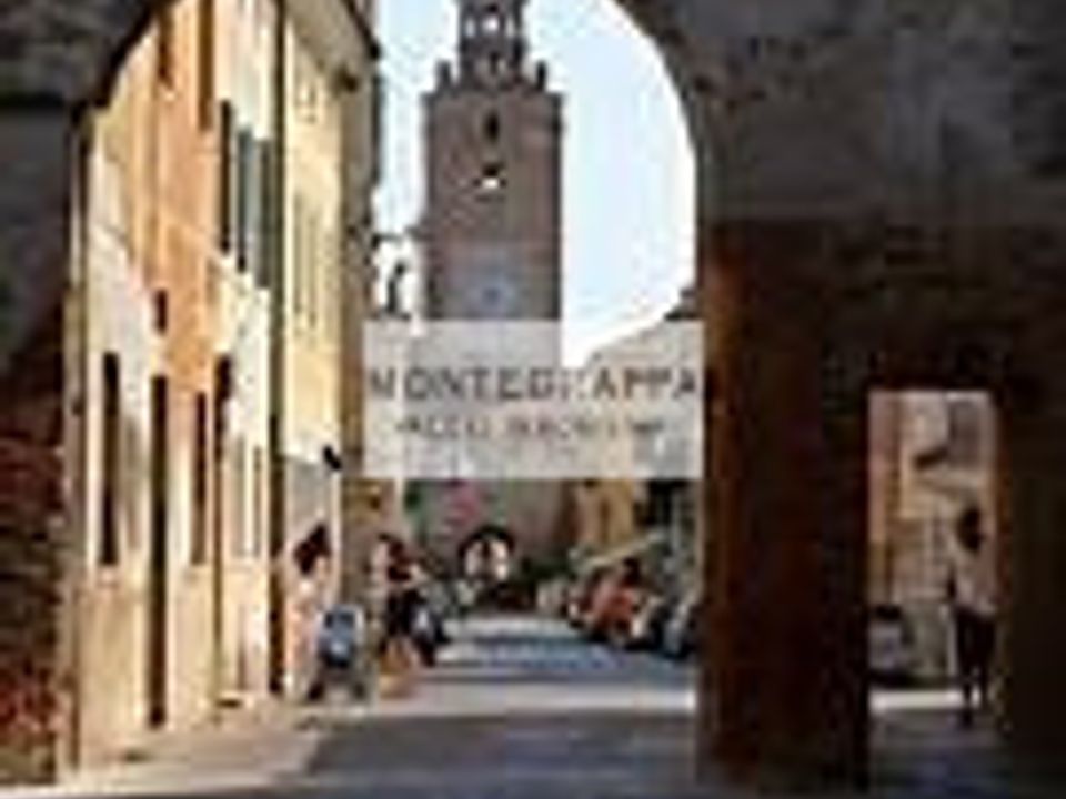 Erhvervsejendom i Castelfranco Veneto, Treviso - foto 3