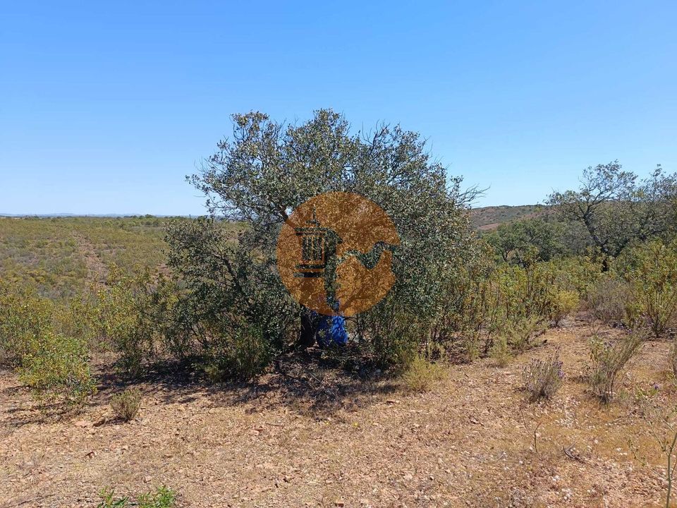 Helårsgrund i Castro Marim, Faro - foto 1