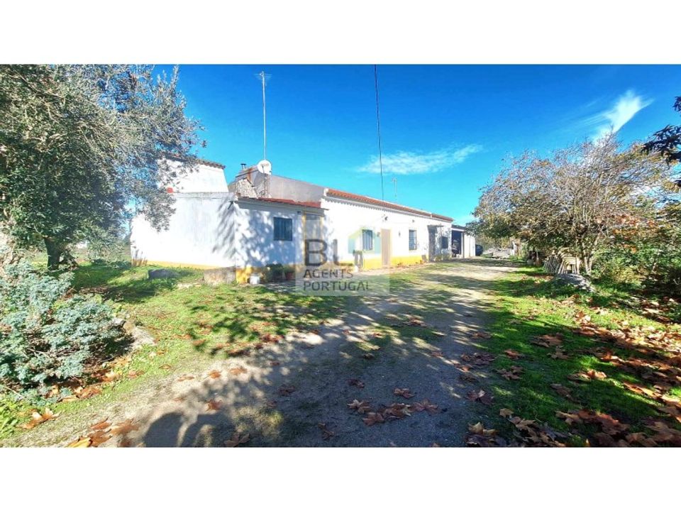 Farm i Canaviais, Evora - foto 4