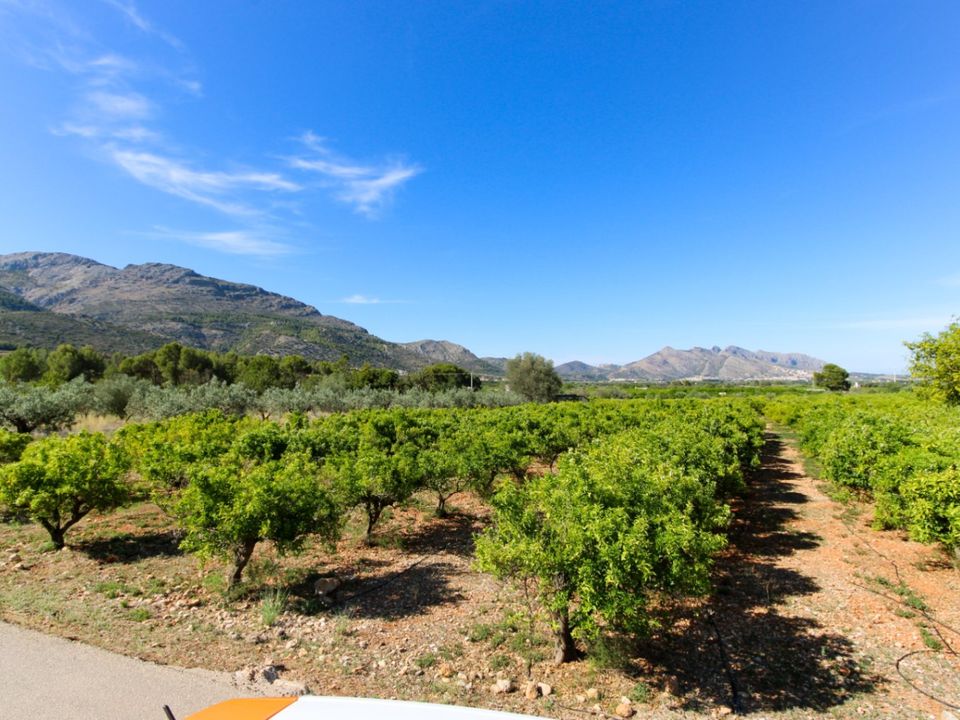 Helårsgrund i Orba, Alicante - foto 3