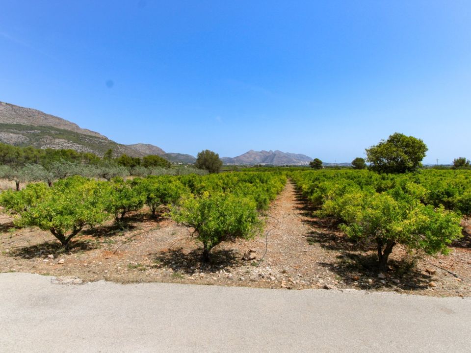 Helårsgrund i Orba, Alicante - foto 5