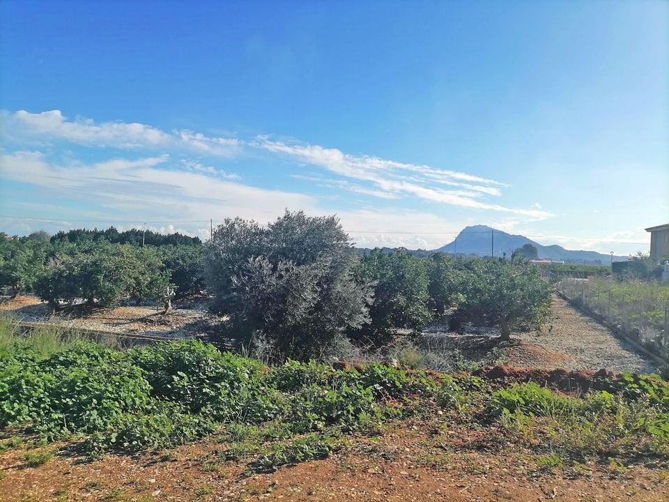 Helårsgrund i El Verger, Alicante - foto 4