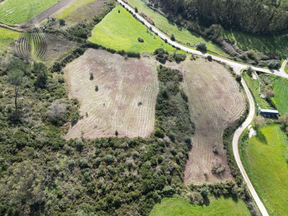 Helårsgrund i Sobral de Monte Agraco, Lisbon - foto 3