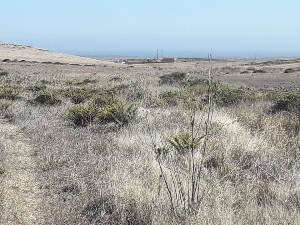 Helårsgrund i Vila do Bispo Municipality, Faro - foto 1