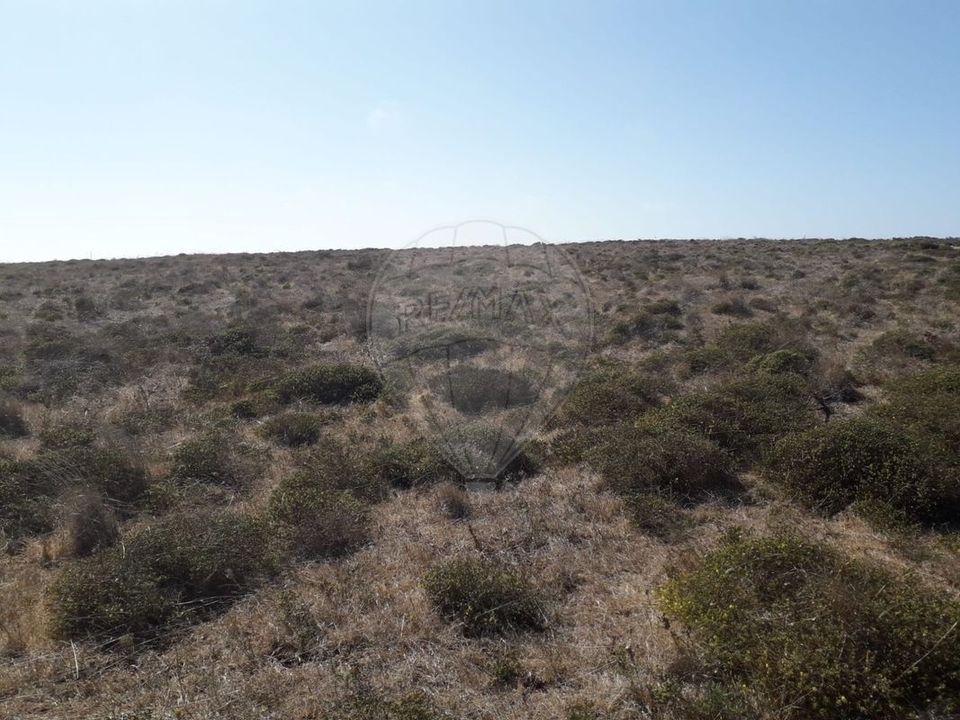 Helårsgrund i Vila do Bispo Municipality, Faro - foto 5