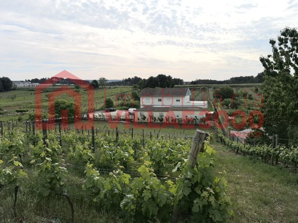 Villa i Vila Real, Vila Real - foto 2