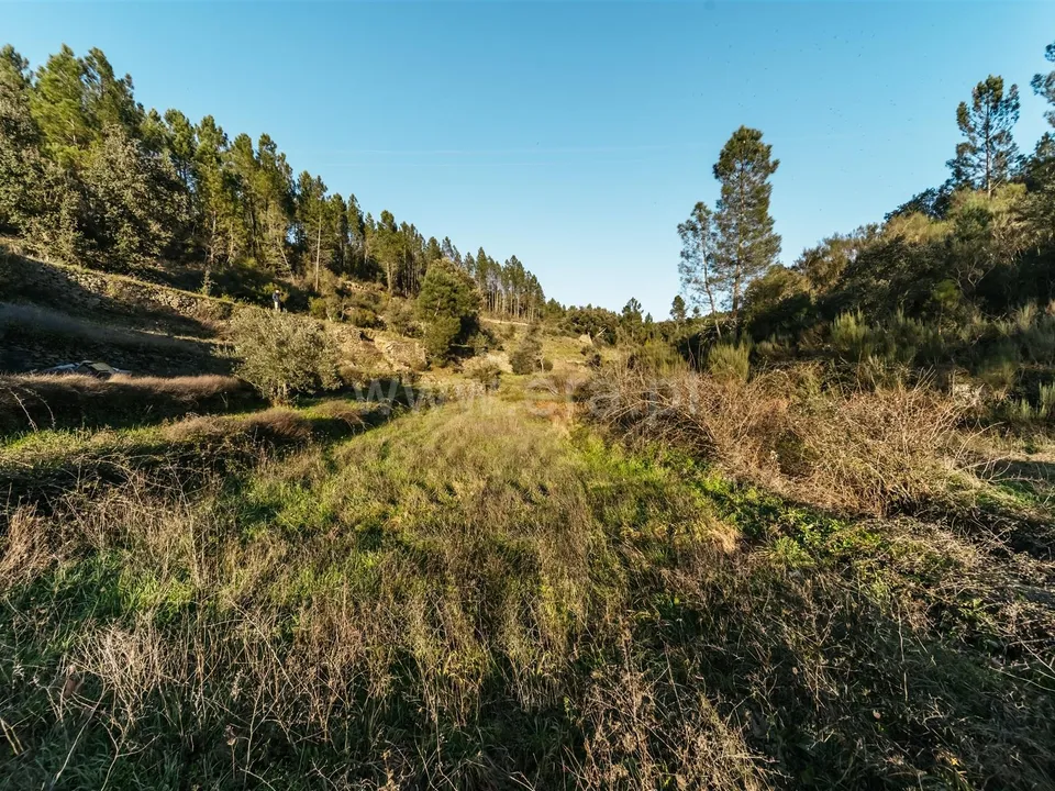 Tomt i Covilha, Castelo Branco - bilde 2