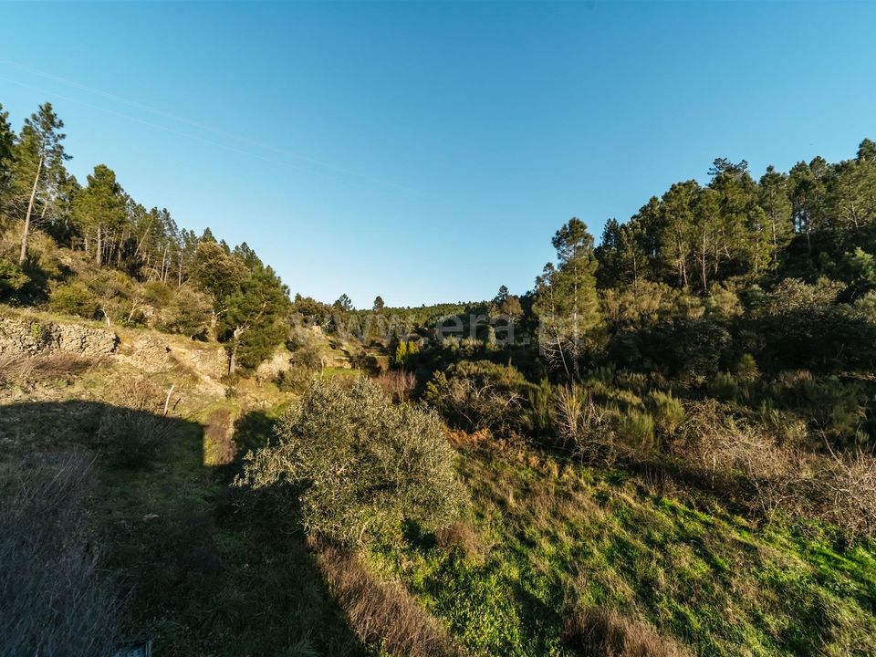 Tomt i Covilha, Castelo Branco - bilde 5