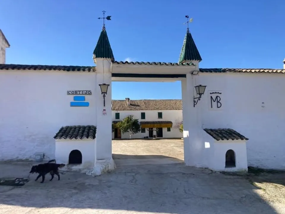 Finca i Rute, Cordoba - foto 4
