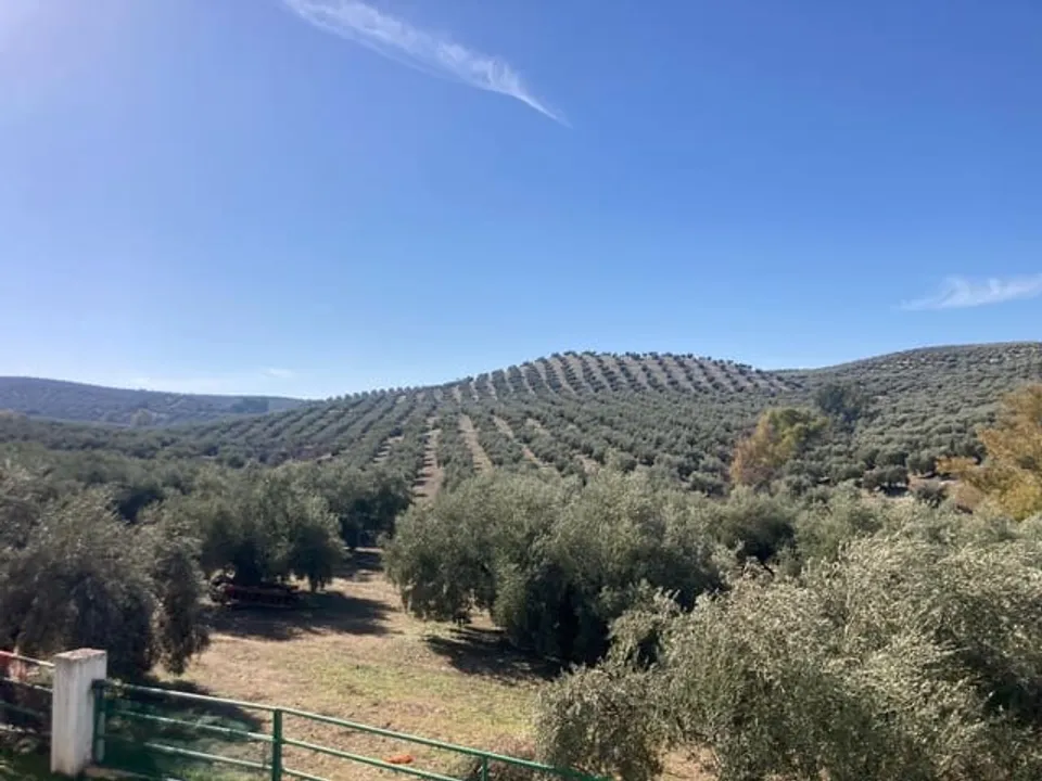 Finca i Rute, Cordoba - foto 2
