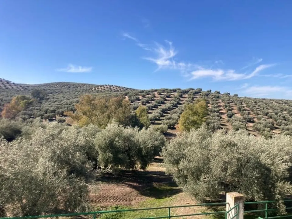 Finca i Rute, Cordoba - foto 3