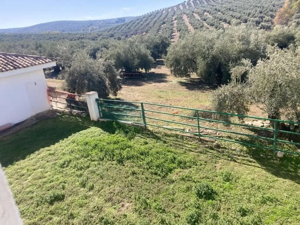 Finca i Rute, Cordoba - foto 5