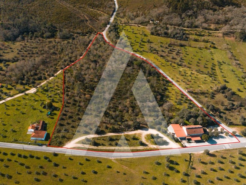 L'establiment comercial a Freixianda, Santarem - foto 1