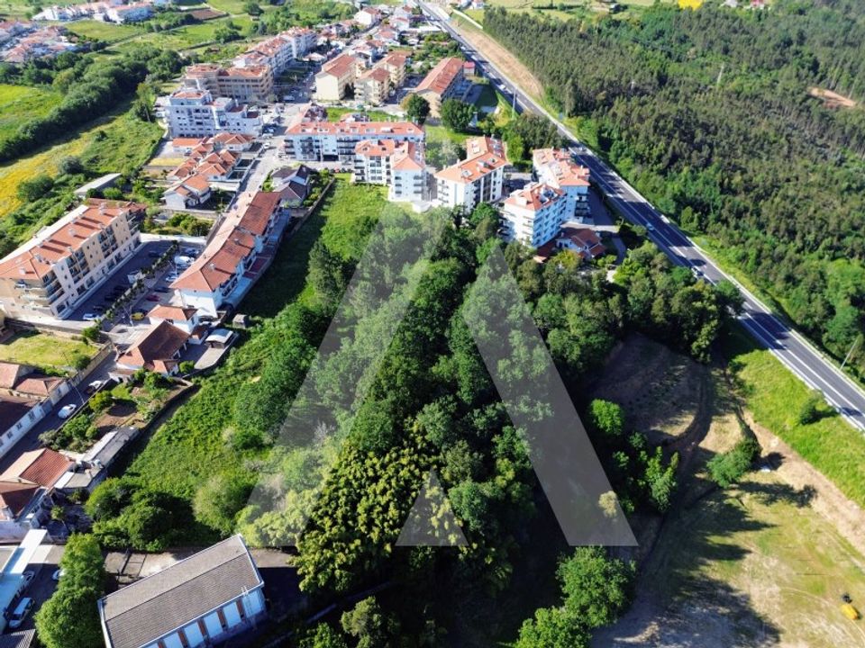 Helårsgrund i Albergaria-a-Velha, Aveiro - foto 1