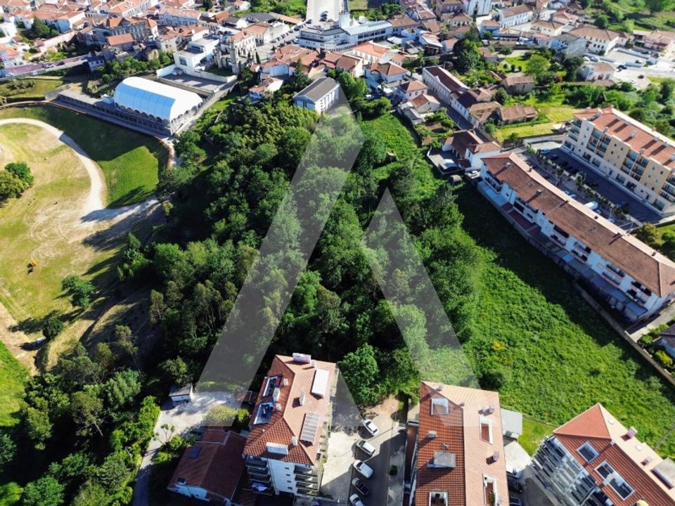 Helårsgrund i Albergaria-a-Velha, Aveiro - foto 3