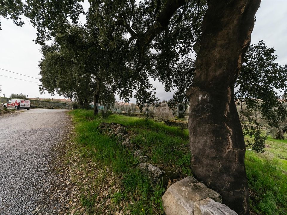 Helårsgrund i Fundao, Castelo Branco - foto 1