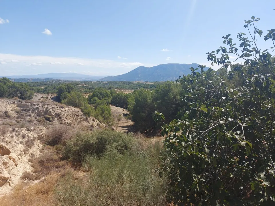 Cave house i Cuevas Del Campo, Granada - bilde 3