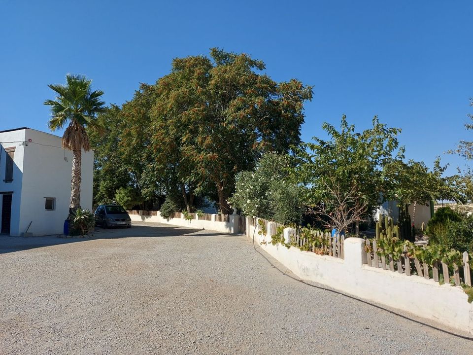 Erhvervsejendom i Baza, Granada - foto 3