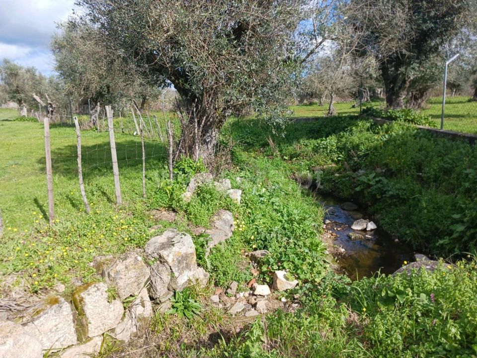 Helårsgrund i Nisa, Portalegre - foto 1