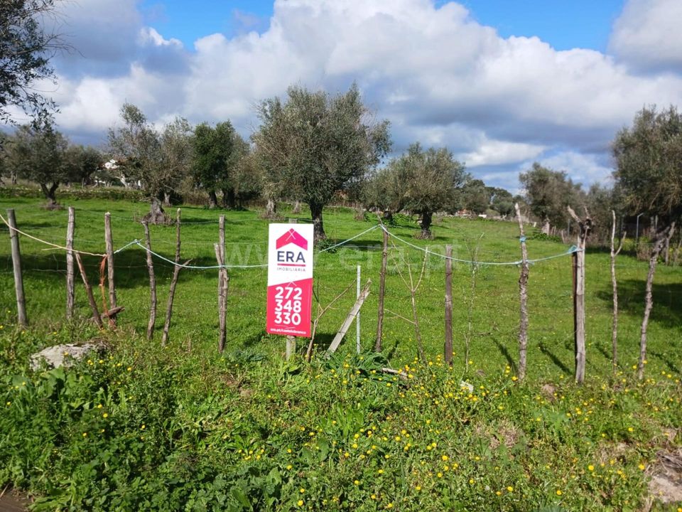 Helårsgrund i Nisa, Portalegre - foto 2