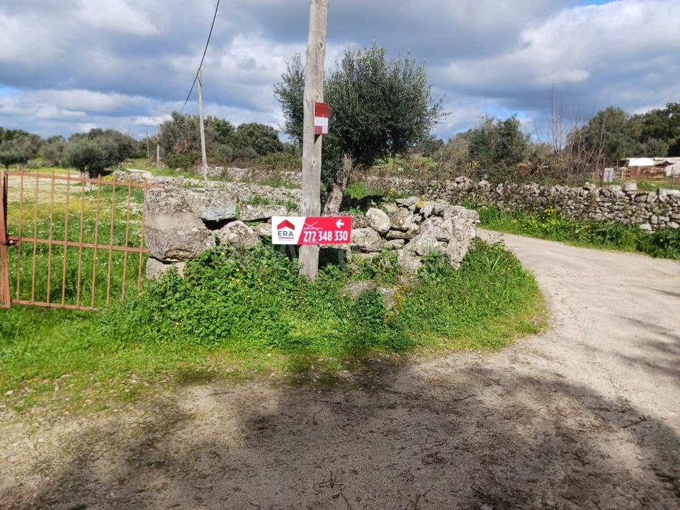 Helårsgrund i Nisa, Portalegre - foto 5