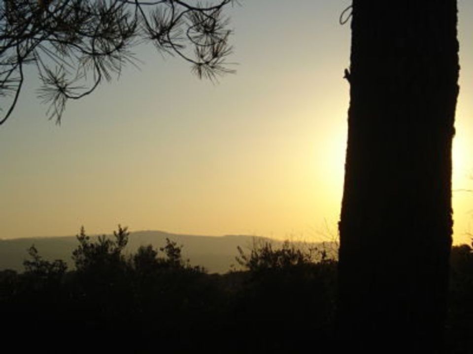 Helårsgrund i Borba, Evora - foto 3