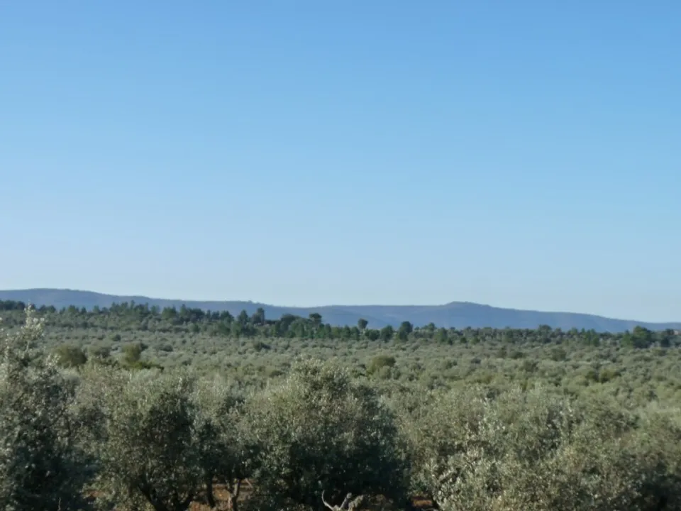 Helårsgrund i Borba, Evora - foto 1