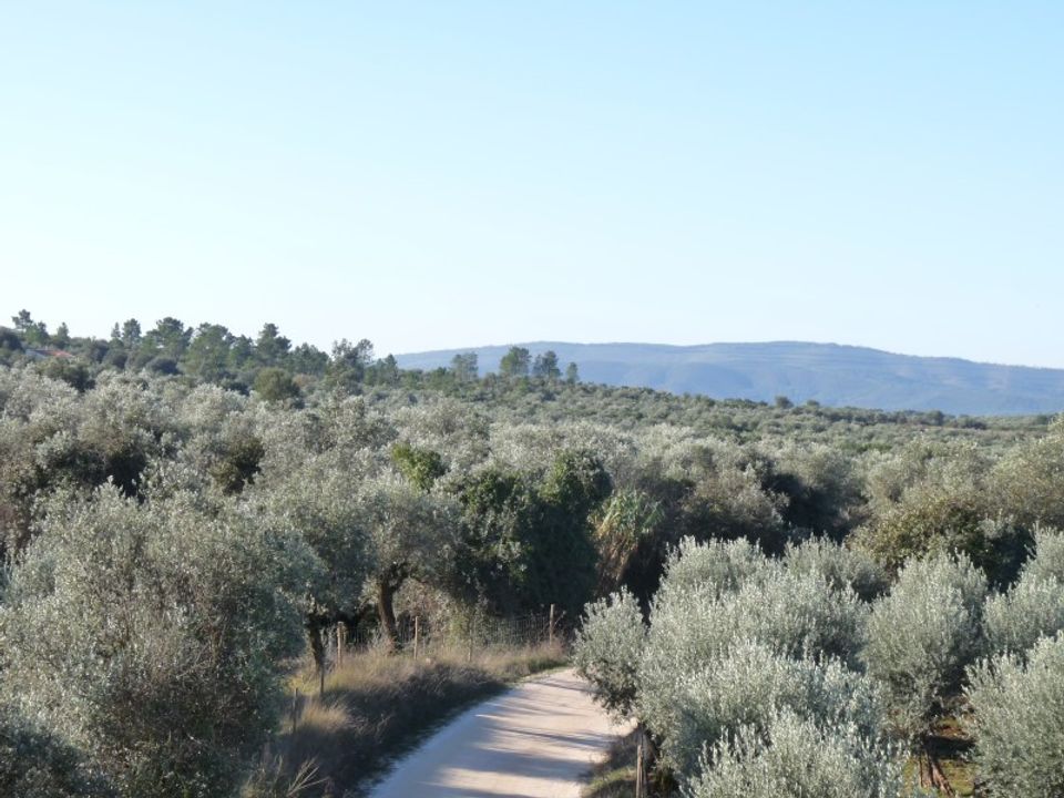 Helårsgrund i Borba, Evora - foto 4