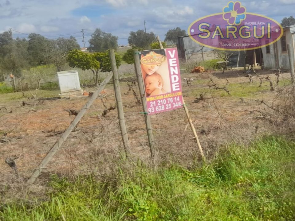 Helårsgrund i Palmela, Setubal - foto 2