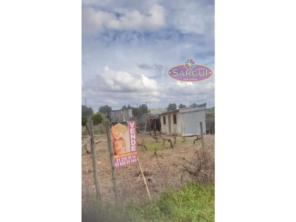 Helårsgrund i Palmela, Setubal - foto 3
