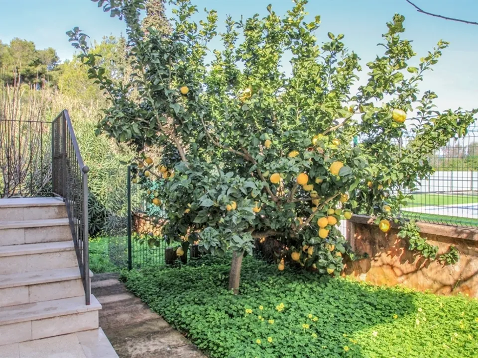 Villa i Alcudia, Mallorca - foto 3