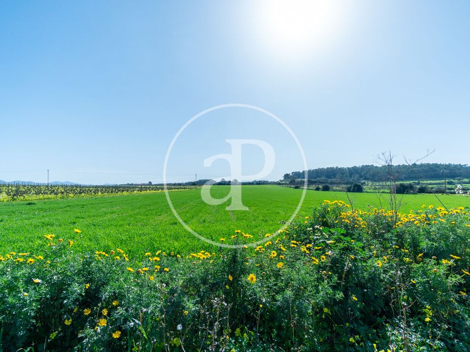 Helårsgrund i Porreres, Mallorca - foto 1