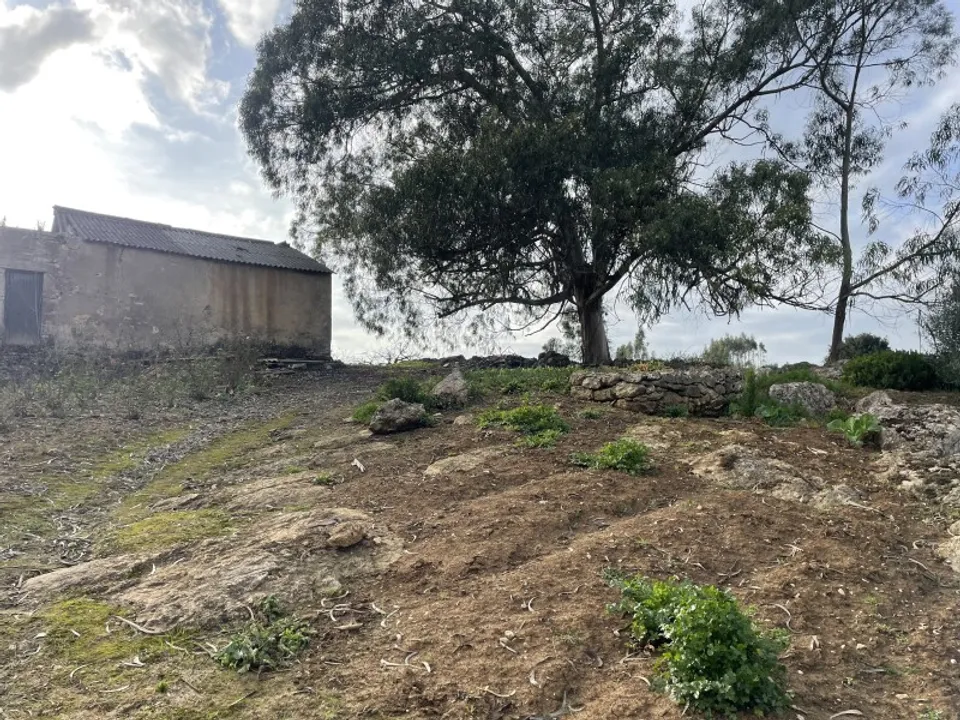 Farm i Lourinha, Lisbon - foto 1