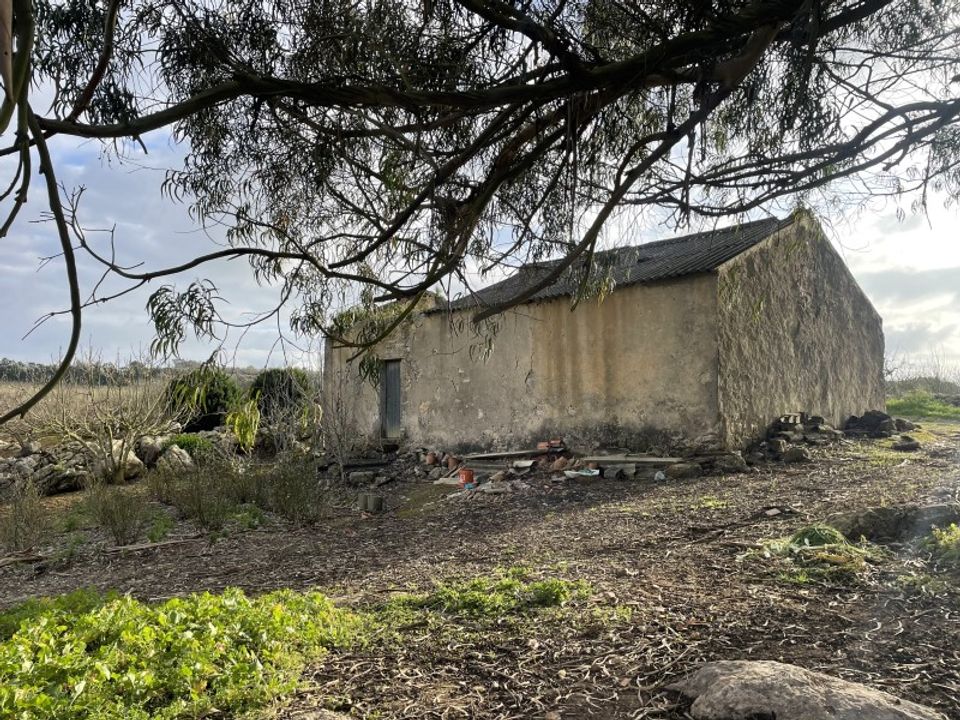 Farm i Lourinha, Lisbon - foto 2