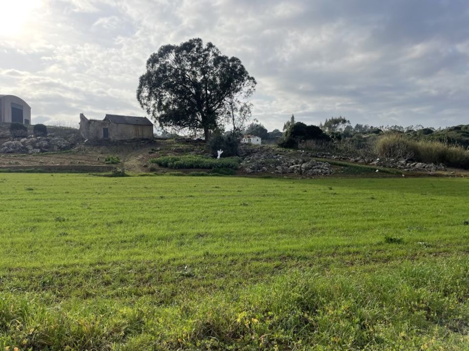 Farm i Lourinha, Lisbon - foto 3
