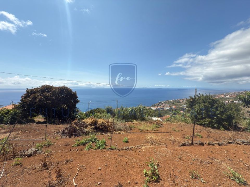 Helårsgrund i Santa Cruz, Madeira - foto 3