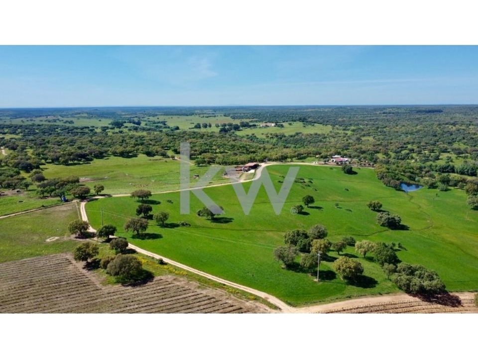 Farm i Montemor-o-Novo, Evora - foto 3