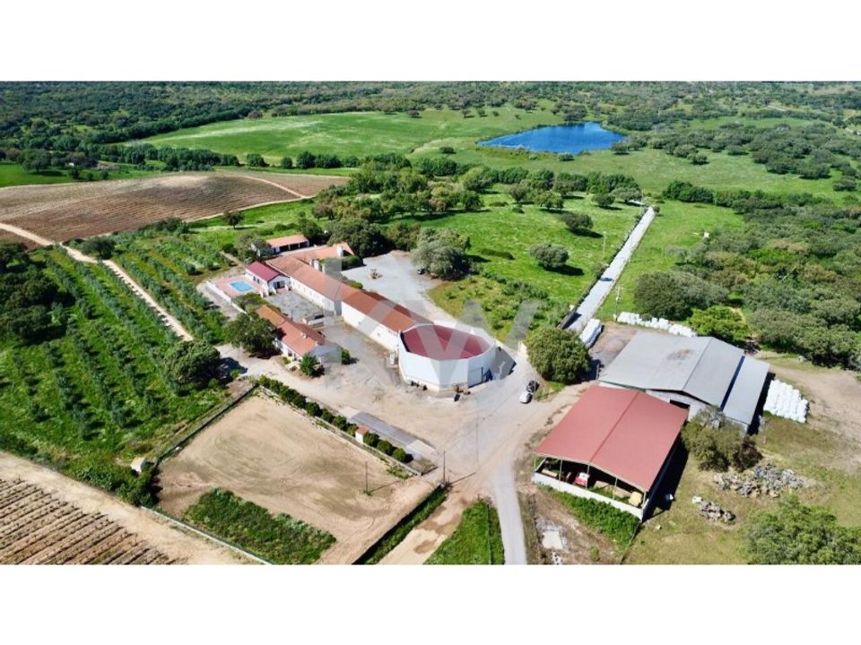 Farm i Montemor-o-Novo, Evora - foto 4