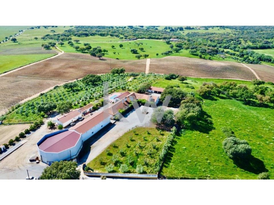 Farm i Montemor-o-Novo, Evora - foto 5