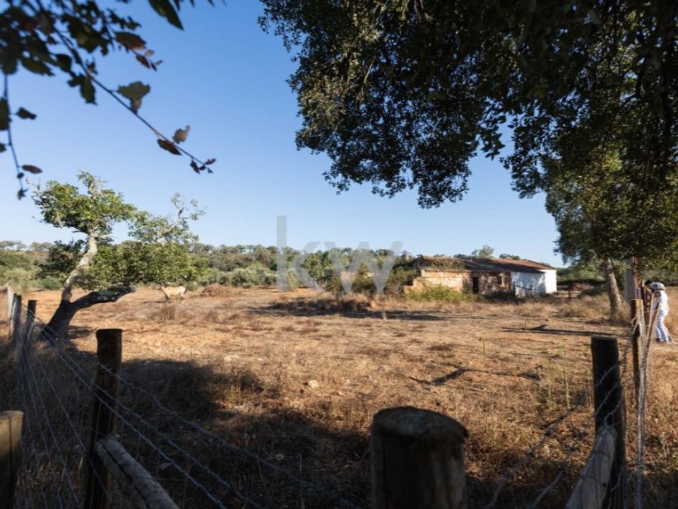 Farm i Cercal do Alentejo, Setubal - foto 1