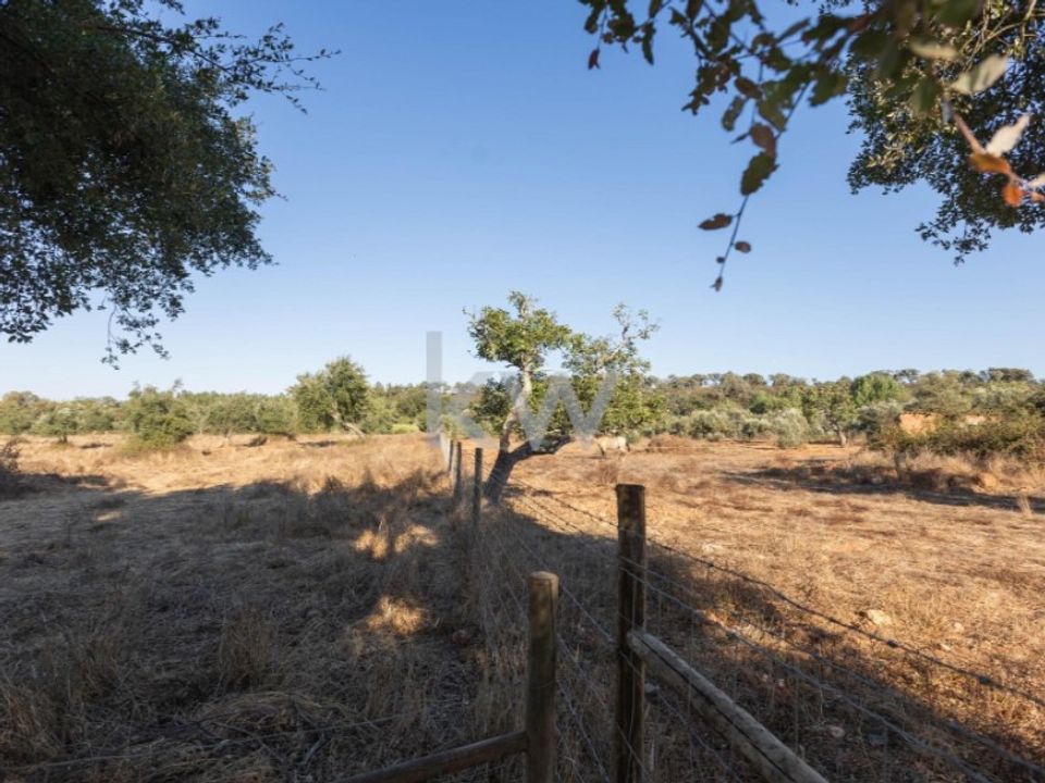 Farm i Cercal do Alentejo, Setubal - foto 2