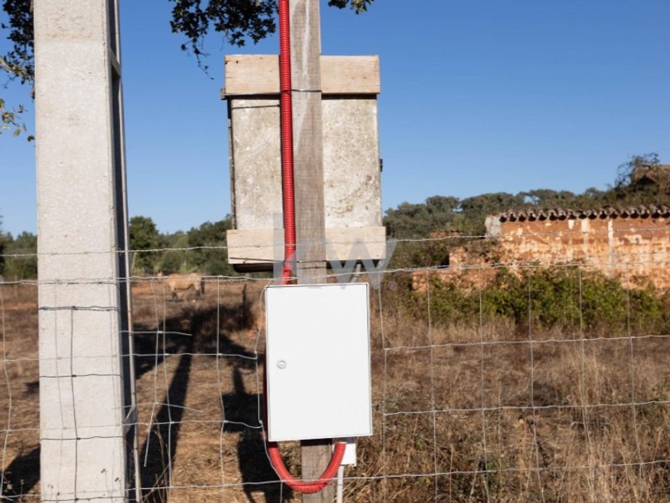 Farm i Cercal do Alentejo, Setubal - foto 3