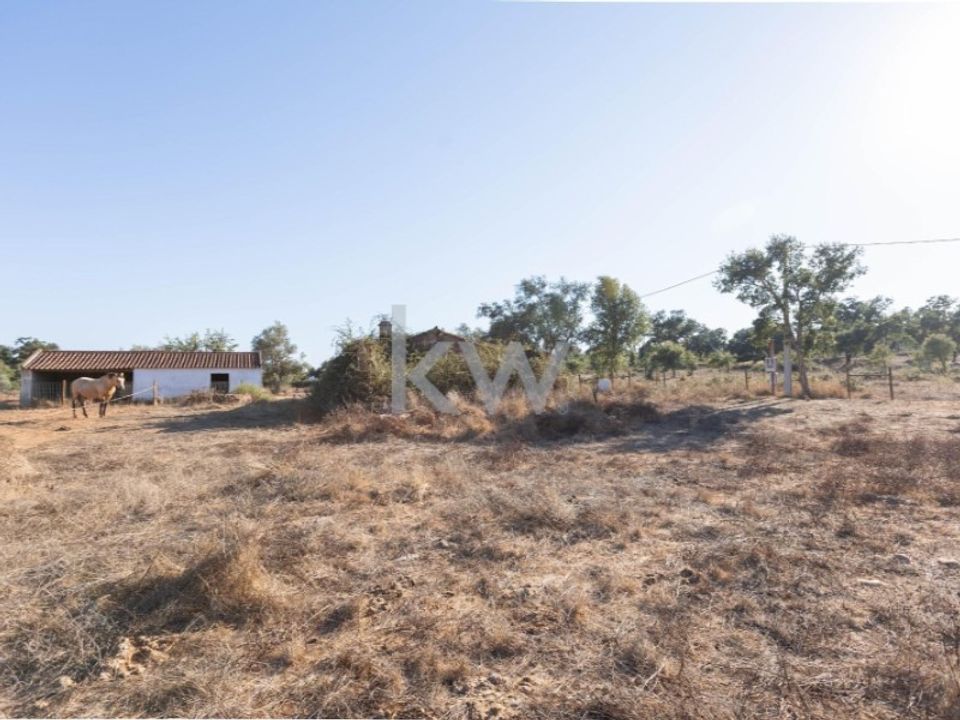 Farm i Cercal do Alentejo, Setubal - foto 4
